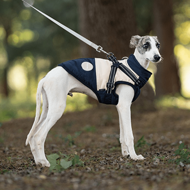 Waterproof Warm Vest Whippet Greyhound Winter Dog Clothes - PIKAPIKA