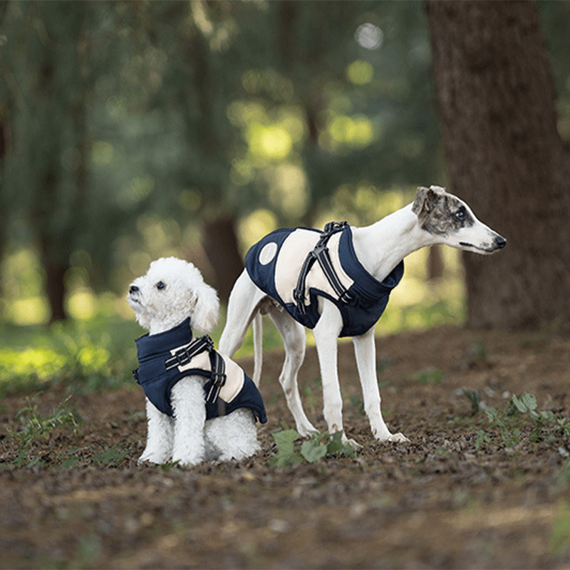 Waterproof Warm Vest Whippet Greyhound Winter Dog Clothes - PIKAPIKA