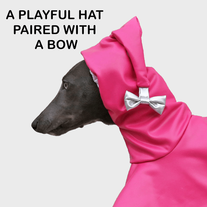 Waterproof Whippet Dog Raincoat Fashion Pointed Hood Bow - PIKAPIKA