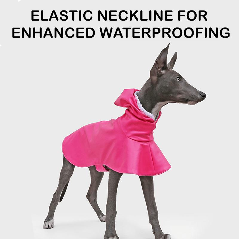 Waterproof Whippet Dog Raincoat Fashion Pointed Hood Bow - PIKAPIKA