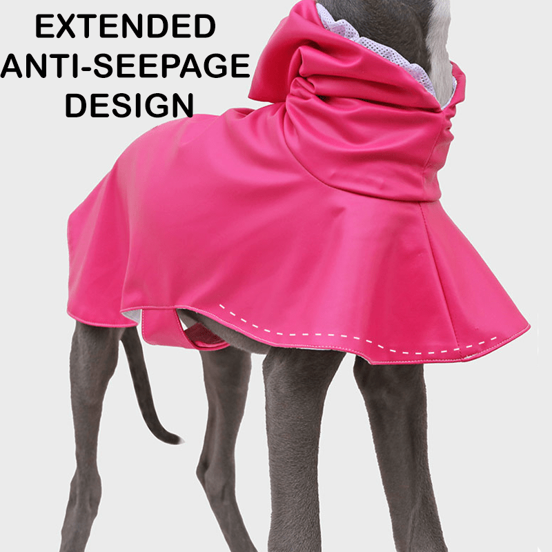 Waterproof Whippet Dog Raincoat Fashion Pointed Hood Bow - PIKAPIKA