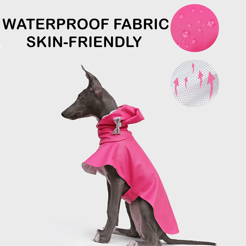 Waterproof Whippet Dog Raincoat Fashion Pointed Hood Bow - PIKAPIKA