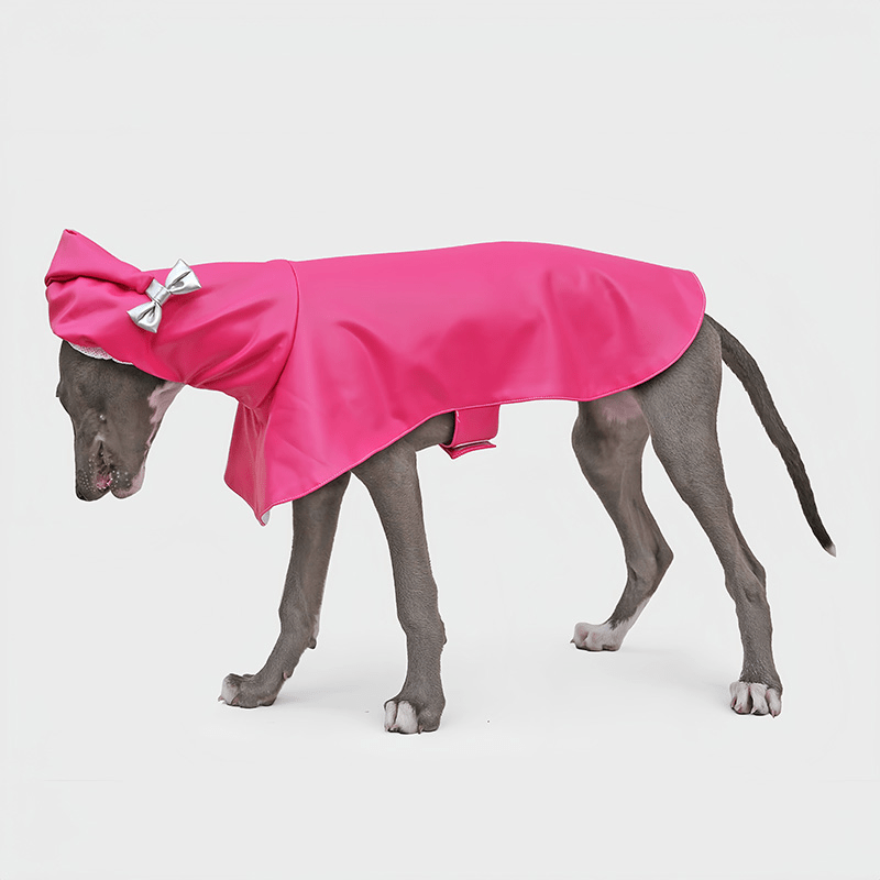 Waterproof Whippet Dog Raincoat Fashion Pointed Hood Bow - PIKAPIKA