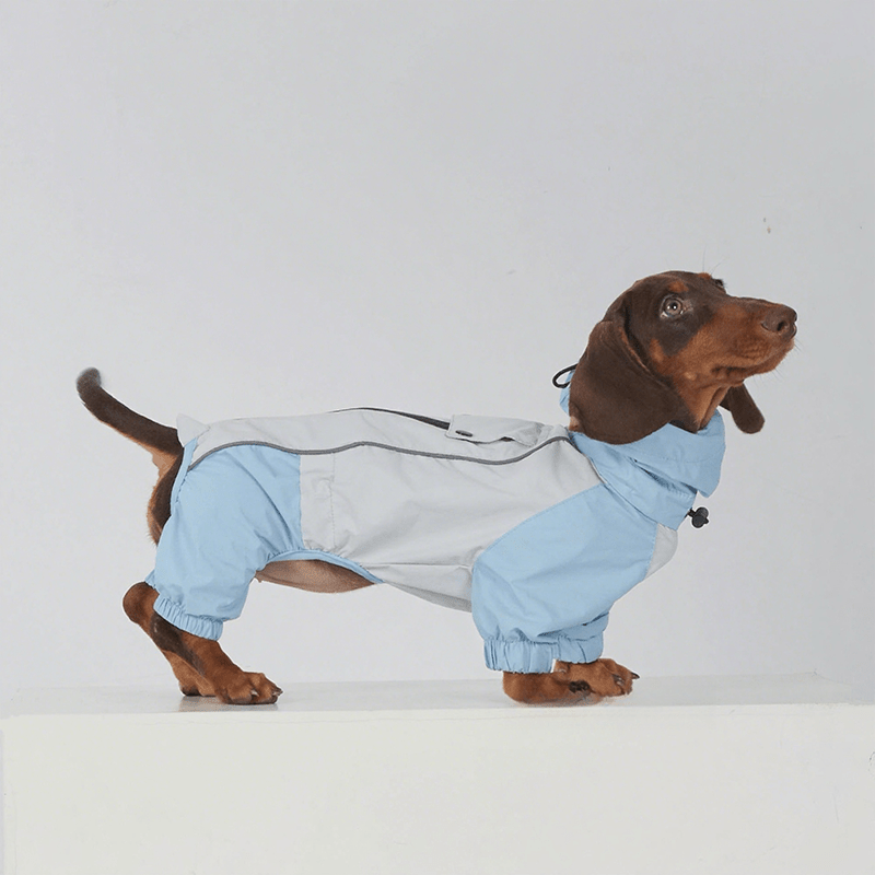 Waterproof Windproof Dachshund Whippet Dog Raincoat Jacket - PIKAPIKA