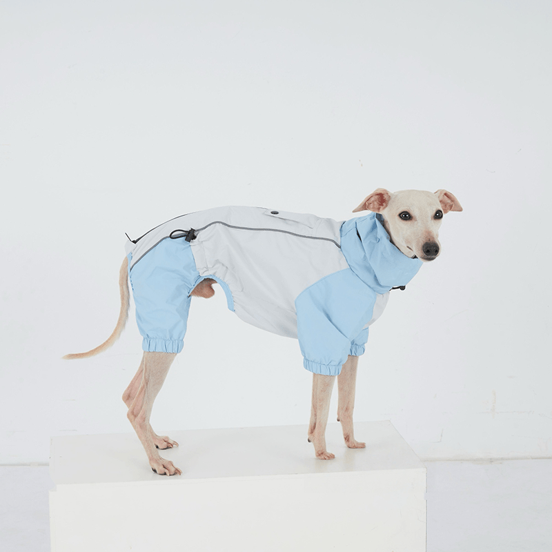 Waterproof Windproof Dachshund Whippet Dog Raincoat Jacket - PIKAPIKA