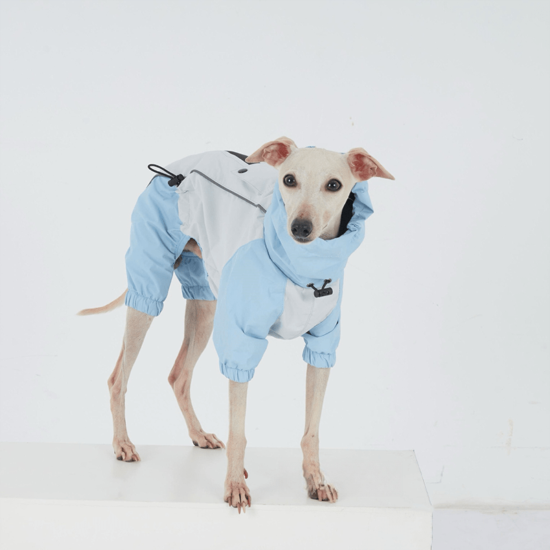 Waterproof Windproof Dachshund Whippet Dog Raincoat Jacket - PIKAPIKA