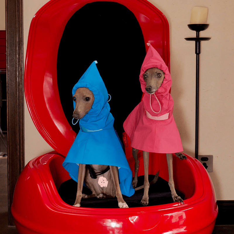 Waterproof Windproof Pointed Hood Cloak Raincoat Whippet Dog Clothes - PIKAPIKA