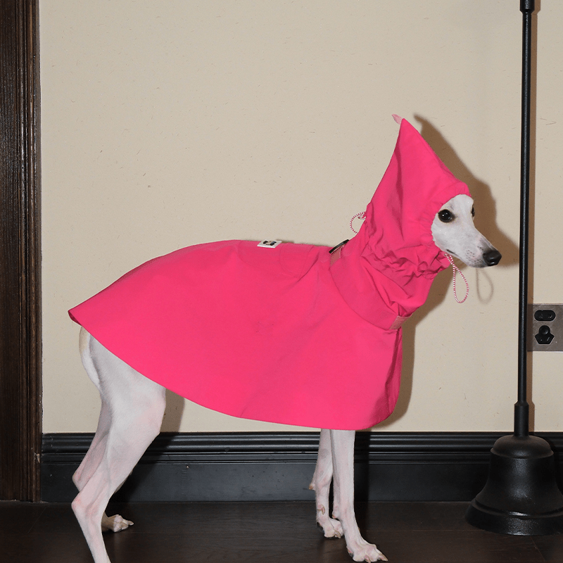 Waterproof Windproof Pointed Hood Cloak Raincoat Whippet Dog Clothes - PIKAPIKA