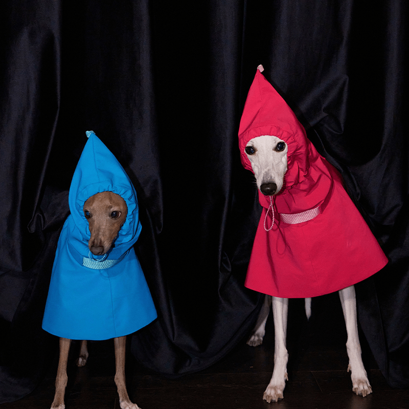Waterproof Windproof Pointed Hood Cloak Raincoat Whippet Dog Clothes - PIKAPIKA