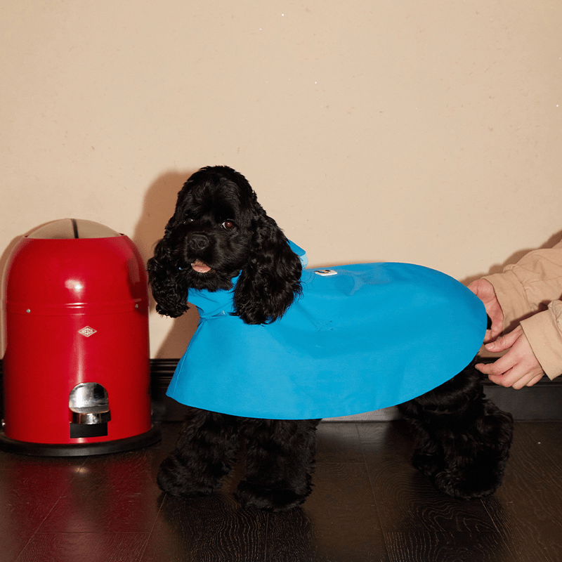 Waterproof Windproof Pointed Hood Cloak Raincoat Whippet Dog Clothes - PIKAPIKA