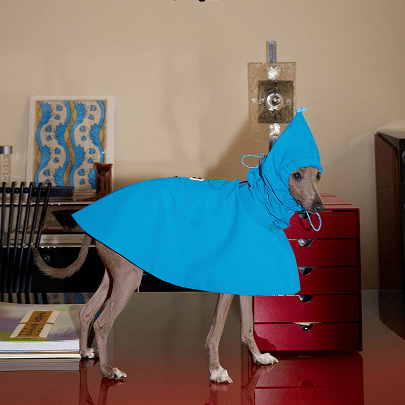 Waterproof Windproof Pointed Hood Cloak Raincoat Whippet Dog Clothes - PIKAPIKA