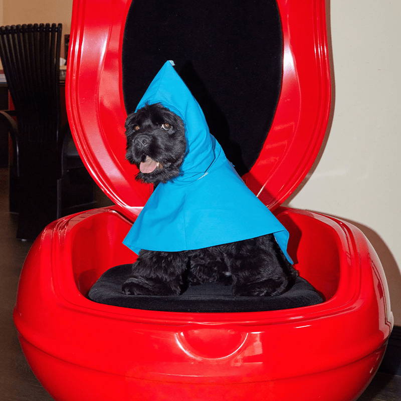 Waterproof Windproof Pointed Hood Cloak Raincoat Whippet Dog Clothes - PIKAPIKA