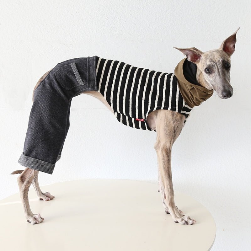 Wide Leg Denim Pants Italian Greyhound Whippet Dog Clothes - PIKAPIKA