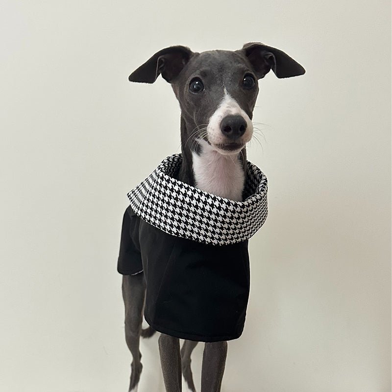 Wind Coat Cloak for Italian Greyhound Whippet Dog Clothes - PIKAPIKA