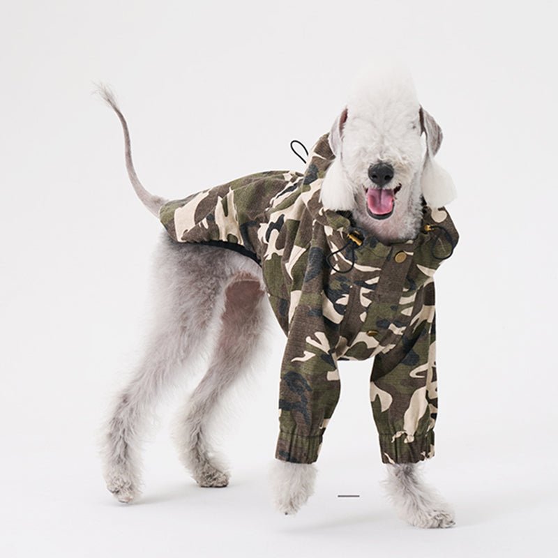 Windproof Jacket Bedlington Dog Clothes - PIKAPIKA