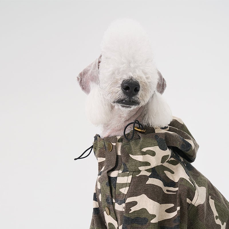 Windproof Jacket Bedlington Dog Clothes - PIKAPIKA