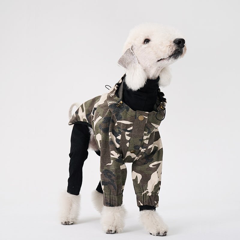 Windproof Jacket Bedlington Dog Clothes - PIKAPIKA