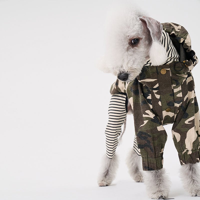 Windproof Jacket Bedlington Dog Clothes - PIKAPIKA