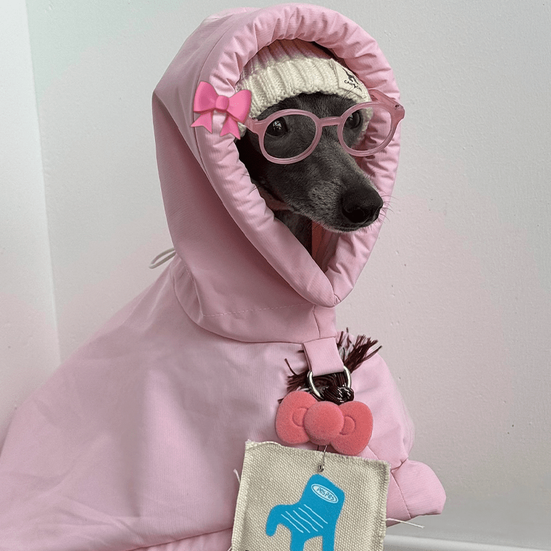 Windproof Waterproof Hooded Cape Sighthounds Pet Raincoat - PIKAPIKA