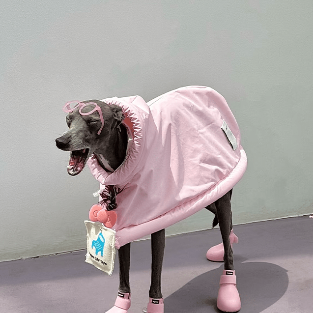 Windproof Waterproof Hooded Cape Sighthounds Pet Raincoat - PIKAPIKA