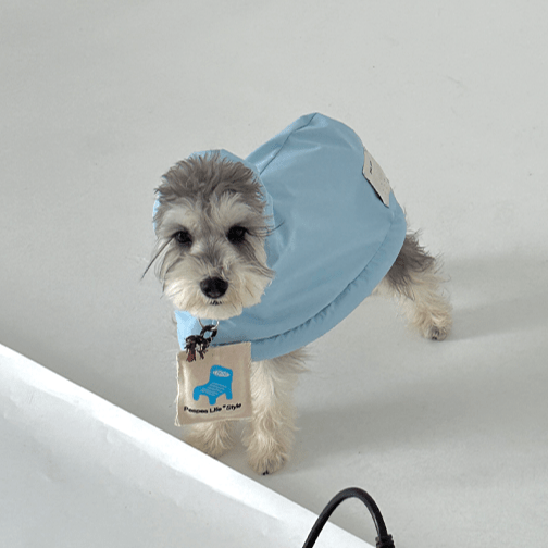 Windproof Waterproof Hooded Cape Toy Dogs Small Medium Dogs Pet Raincoat - PIKAPIKA