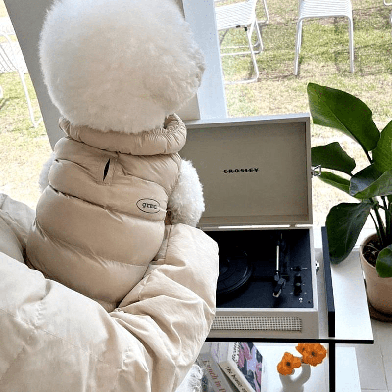 Winter Down Jacket Small Medium Dogs Warm Cotton Vest - PIKAPIKA