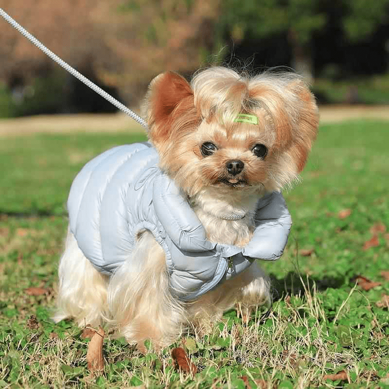 Winter Down Jacket Small Medium Dogs Warm Cotton Vest - PIKAPIKA
