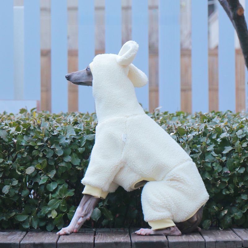 Winter Fleece Hooded Jumpsuit for Italian Greyhound & Whippet - PIKAPIKA