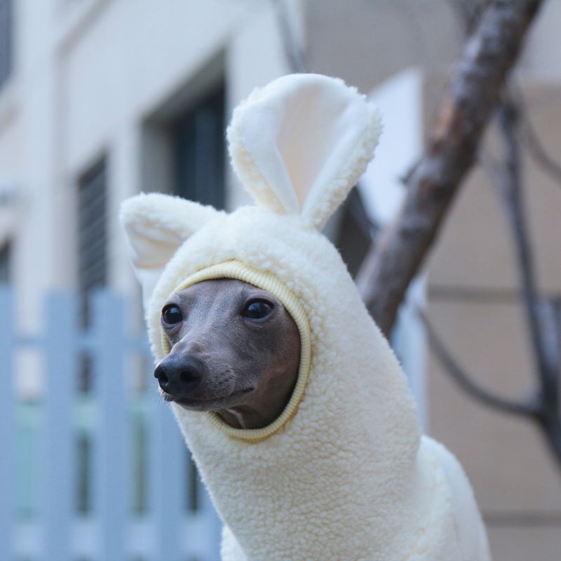 Winter Fleece Hooded Jumpsuit for Italian Greyhound & Whippet - PIKAPIKA