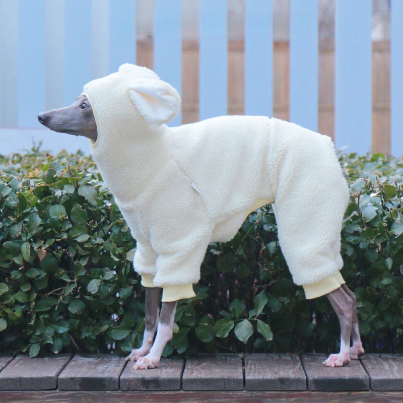 Winter Fleece Hooded Jumpsuit for Italian Greyhound & Whippet - PIKAPIKA