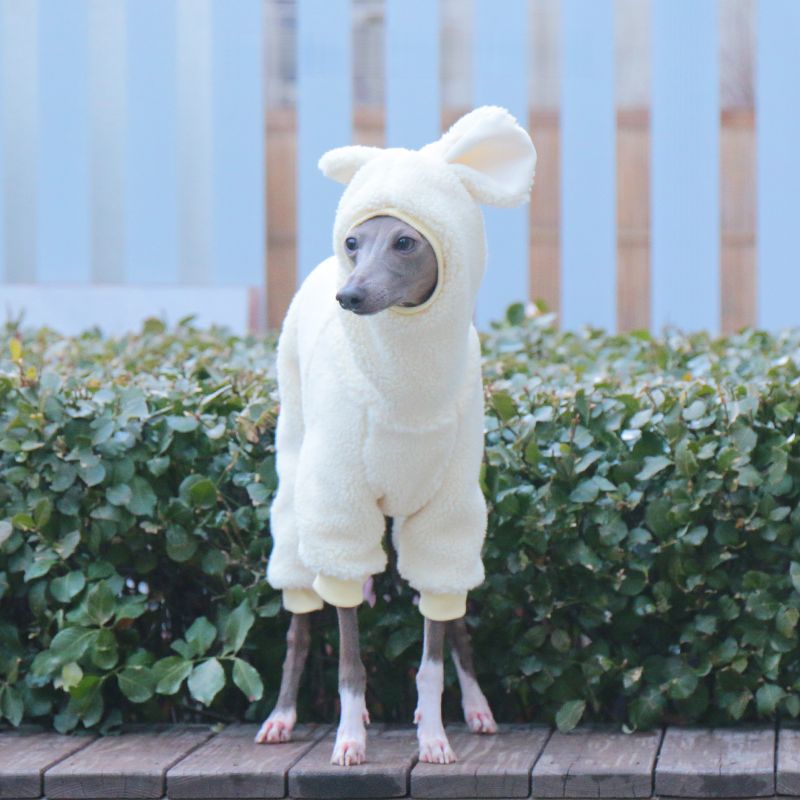 Winter Fleece Hooded Jumpsuit for Italian Greyhound & Whippet - PIKAPIKA