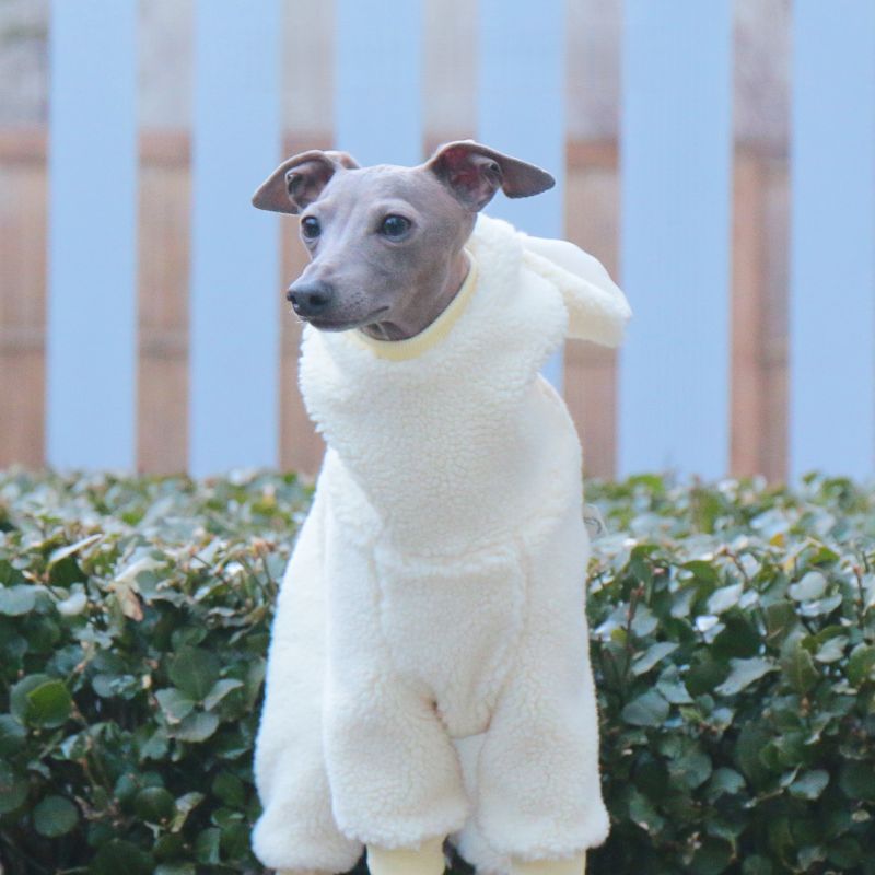 Winter Fleece Hooded Jumpsuit for Italian Greyhound & Whippet - PIKAPIKA