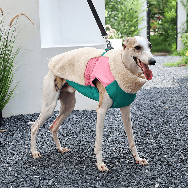Winter Fleece Whippet Dog Vests Warm Vest Pet Clothes - PIKAPIKA