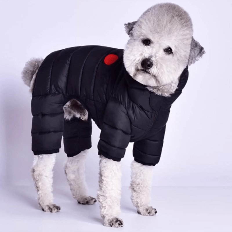 Winter Padded Down Coats Four - Leg Warm Small Medium Dogs ltalian Greyhound Whippet Clothes - PIKAPIKA