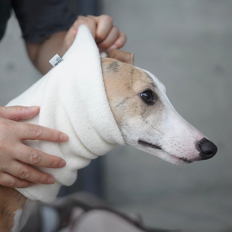 Winter Scarf for Italian greyhound Whippet - PIKAPIKA