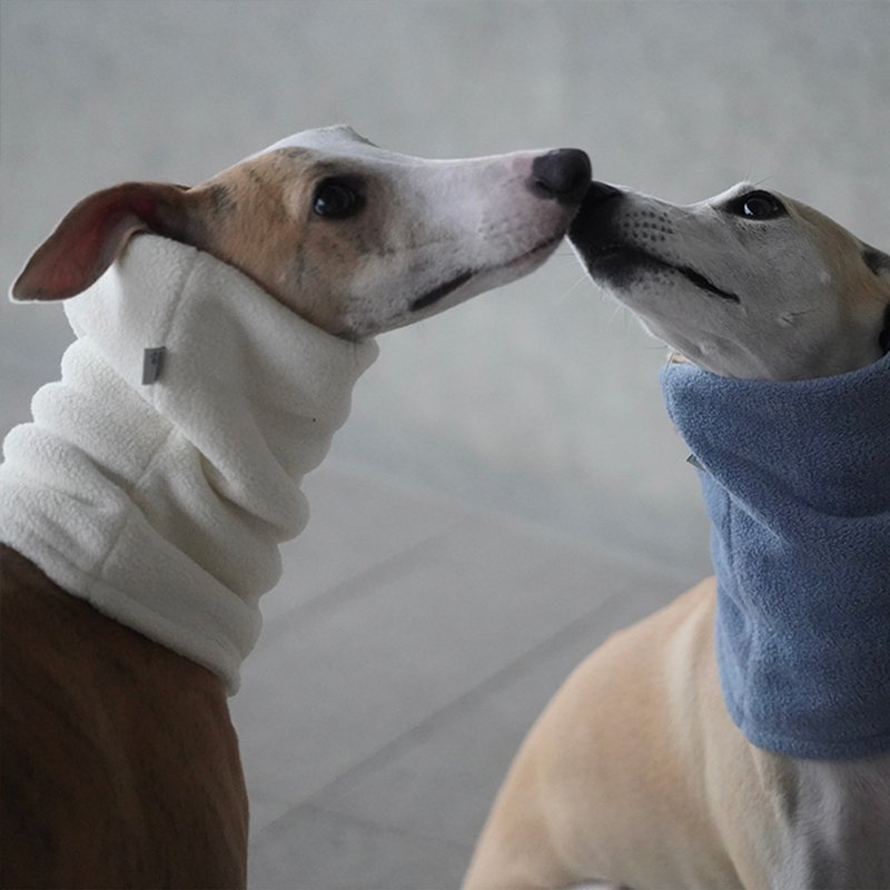 Winter Scarf for Italian greyhound Whippet - PIKAPIKA