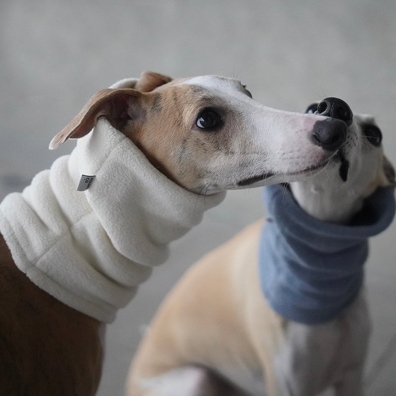 Winter Scarf for Italian greyhound Whippet - PIKAPIKA