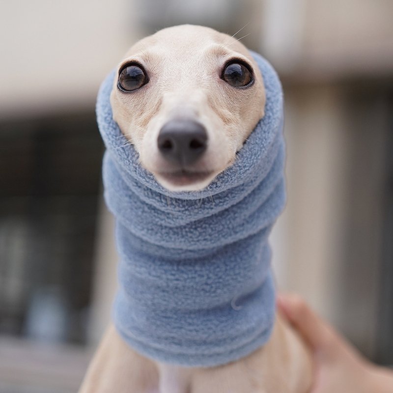Winter Scarf for Italian greyhound Whippet - PIKAPIKA