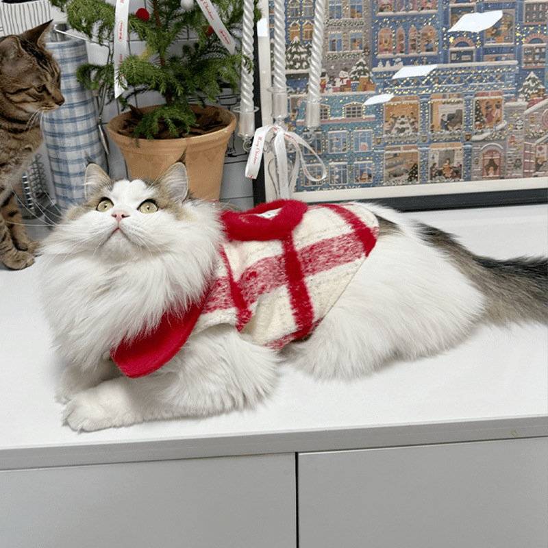 Woolen Coat Love Heart Dog Clothes Winter Button Cat Jacket - PIKAPIKA