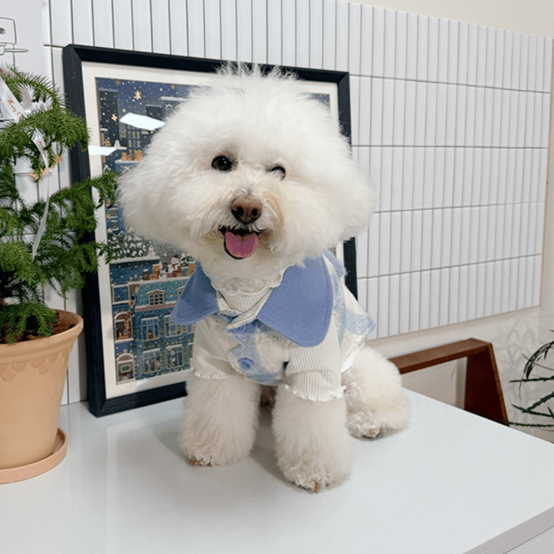 Woolen Coat Love Heart Dog Clothes Winter Button Cat Jacket - PIKAPIKA